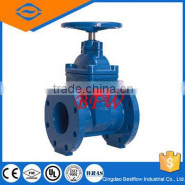 ductile iron ansi gate valve