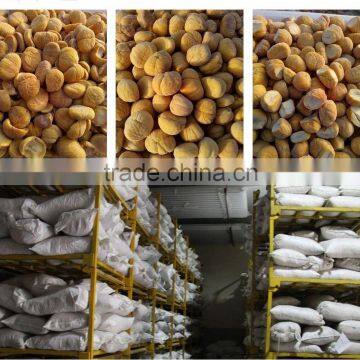 High grade dried chestnuts/health food/dried chestnuts for sale