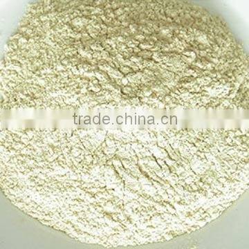 dehydrated onion powder