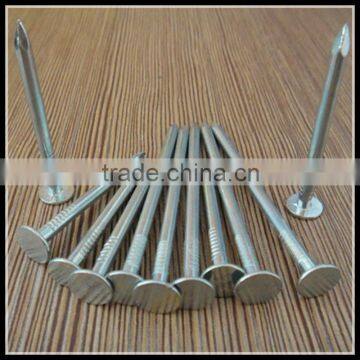 Polished Common Steel Nail Screw