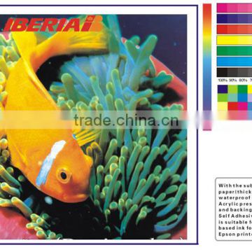 Self Adhesive Glossy PP Paper self adhesive pp paper