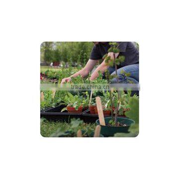 Plastic Planters: Garden Pots With Tray LJ-4026 photo-6