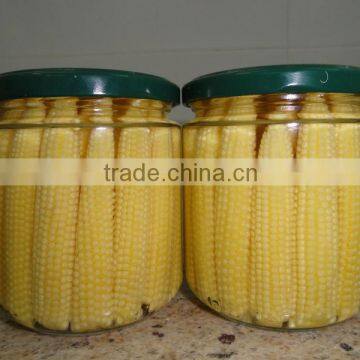 Thai Baby Corn in Brine 2015 Crop