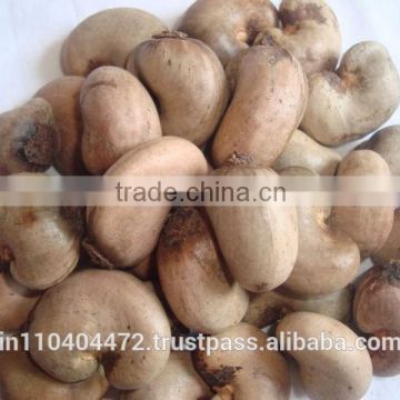 Raw Dried Cashew Nut/Cashew nuts in Africa