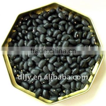 Chinese Small Black Kidney Bean