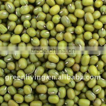 sell chinese dried green mung bean(high quality 3.2-3.6mm)