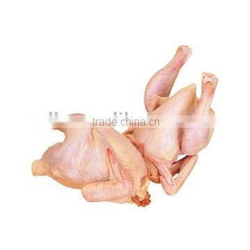 Fresh Frozen halal bone in whole chicken