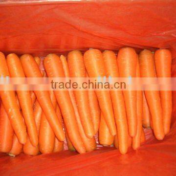 2011 fresh shouguang red carrot