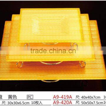 China Reusable Rectangle PC Fruit Plate