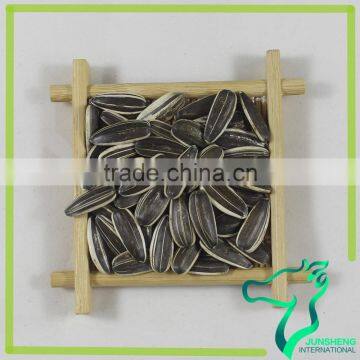 100% Natural Sunflower Seeds High Quality 1121 photo-3