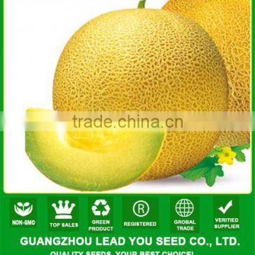 SM02 Chaozaofeng early maturity f1 hybrid sweet melon seeds, hybrid melon seeds