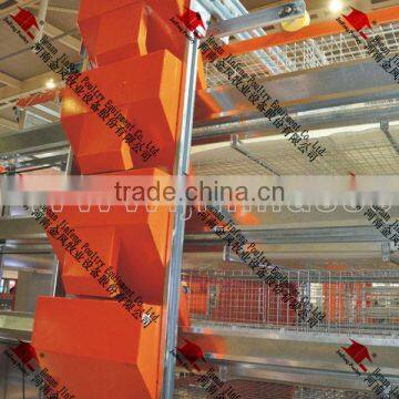 H Type Layer Rearing Equipment