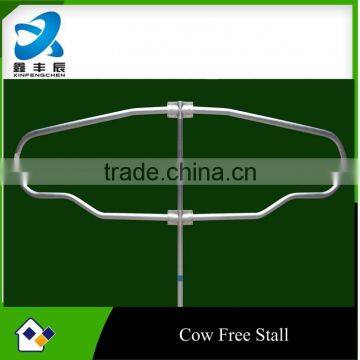 hot dip galvanized cattle livestock