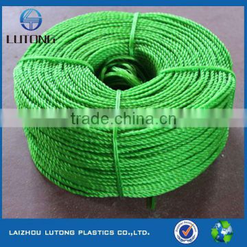 HOT packing hay virgin rope supplier