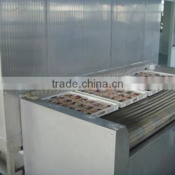 Food Tunnel Freezer