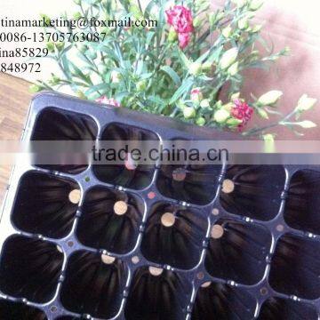Large Deep 72 Cell PS Black Plastic Forest Nursery Seedling Trays for Tree Seed Propagation photo-4