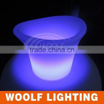 Customized Bottle Ice Buckets photo-6