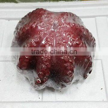Frozen Cleaned Octopus photo-2