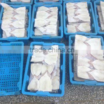 Frozen Squid Tube photo-5