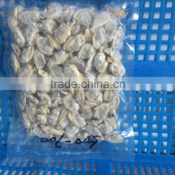 New Sason Frozen Baby Clam Meat Export Levels Quality photo-4