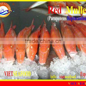 FROZEN W/R RED MULLET photo-3