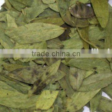 CALCIUM SENNOSIDES EXTRACT photo-4