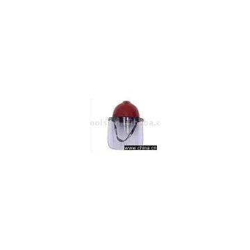 face shield,mask,protective mask,clear mask,face mask