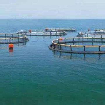 Deep Sea Fish Cage Floating Aquaculture Fishing Cage Wear Resistance