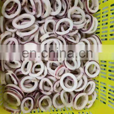 High Quality Frozen Illex Todarodes Black Squid Ring Wholesale EU photo-3