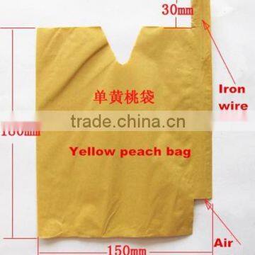 Peach fruit growing paper bag 12 years experience