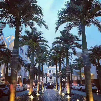 Commercial Extra Large Artificial Date Palm Tree 3-15m - Fiberglass for Luxury Hotel & Resort Landscaping