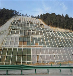 FRP gabion net