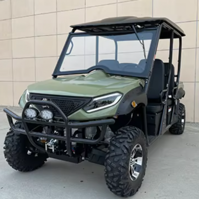 10 кВт электрический 4x4 сельскохозяйственный багги на 4 пассажира, вездеход с автоматической коробкой передач, сертифицированный по EEC для использования на открытом воздухе