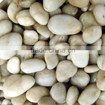 Natural White Pebble Stone