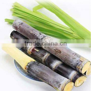 Commercial Electric ET-ZZJ83 Sugarcane Juice Extractor Juicer Machine photo-6