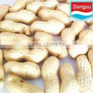 good raw peanuts in shell