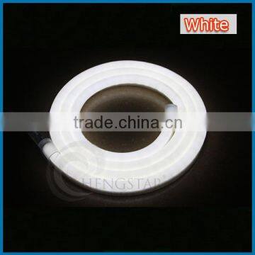 5M 300LEDs 24V 12V LED Neon Flex Digital Programmable RGB Mini Led Neon Flex photo-3