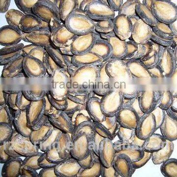 MELON SEED KERNELS,MELON SEEDS photo-4