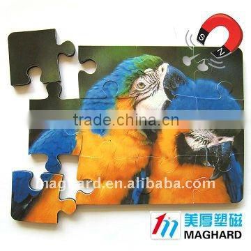 Parrot Magnetic Puzzle diecut 12pcs DIY Toys