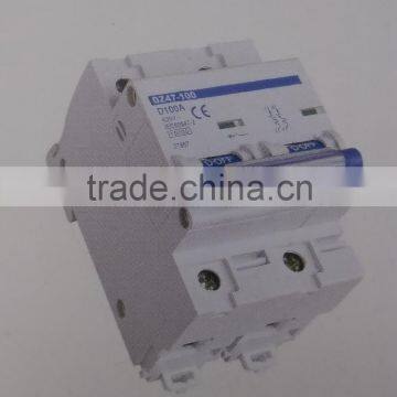 NC100H Miniature Circuit Breaker 2P