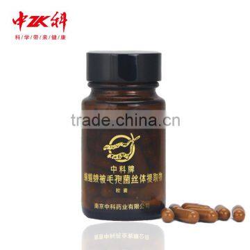 Yarsagumba,,Cordyceps Containing Worm Row Acid in the Body. Vitamin B12, Fat, Protein, Etc.king of the Effective Cordyceps