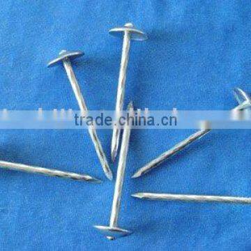 Roofing Nails with spring shank