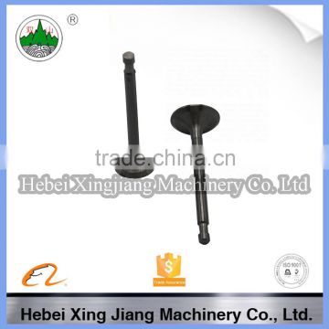 Tractor diesel engine valve R175