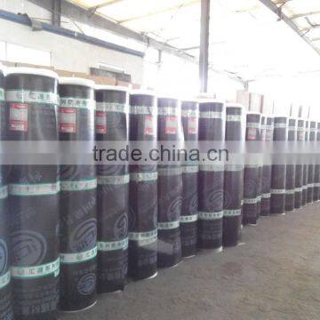 Largest Factory: Slope Roof Waterproofing Membrane, SBS/APP Bitumen Roll Roofing photo-3