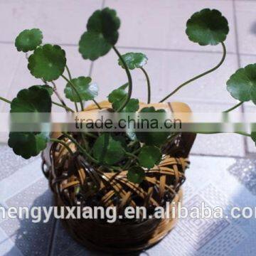 Handwoven Bamboo Decorative Basket for Planting photo-5