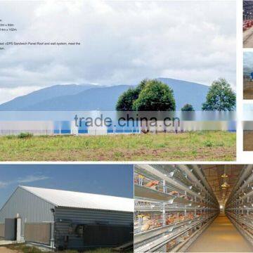 layer or darking chicken design poultry shed