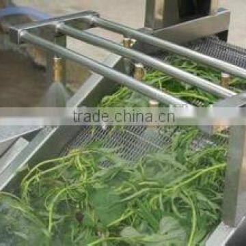 Stainless steel leafy vegetable washing machine