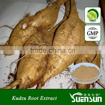 Natural high quality Kudzu root extract,Isoflavones 98%;