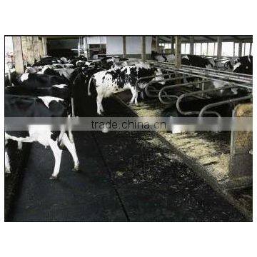 Black Mat Easy Clean Eva Horse Mat photo-4