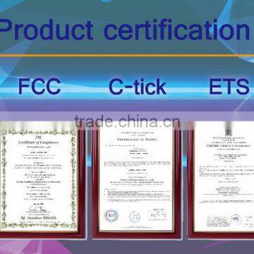 IW-P220GZ Professional Wifi ip Camera ip Camera Tester Wireless Wide Angle Outdoor ip Camera With CE Certificate